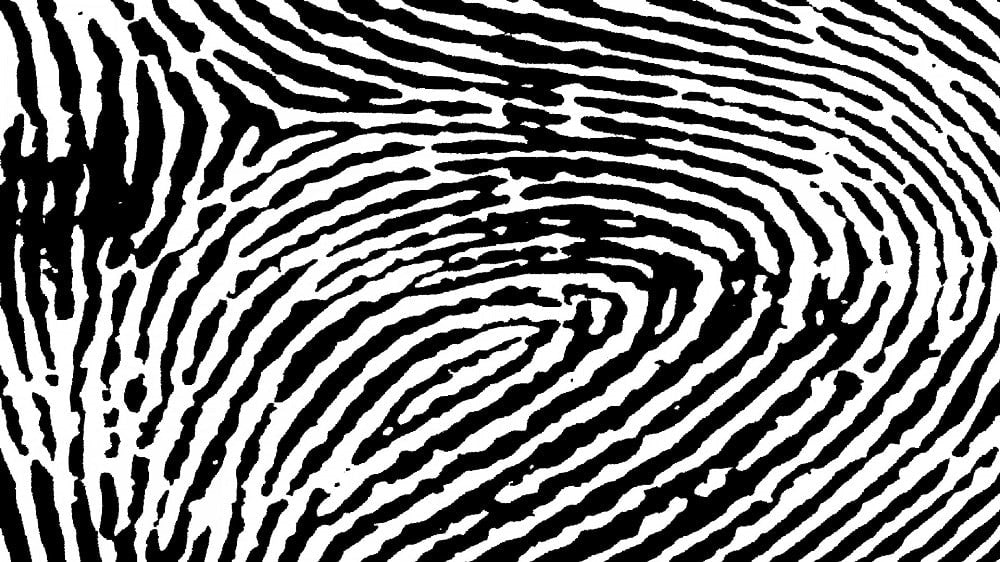 Everything You Need to Know About Fingerprints