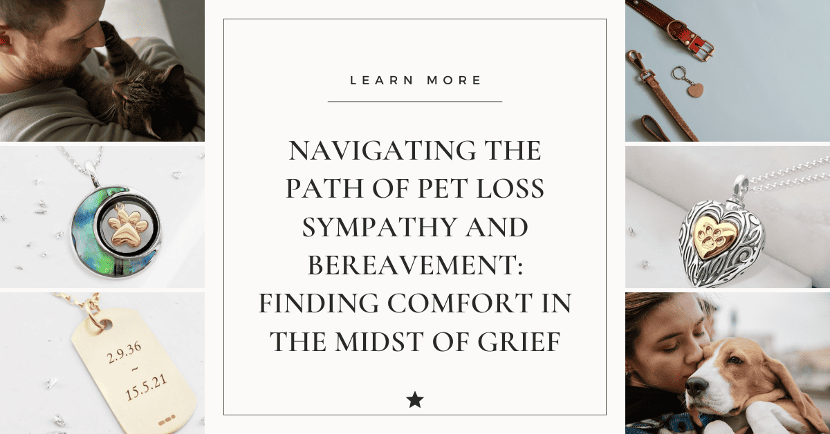 Navigating the Path of Pet Loss Sympathy and Bereavement: Finding Comfort in the Midst of Grief