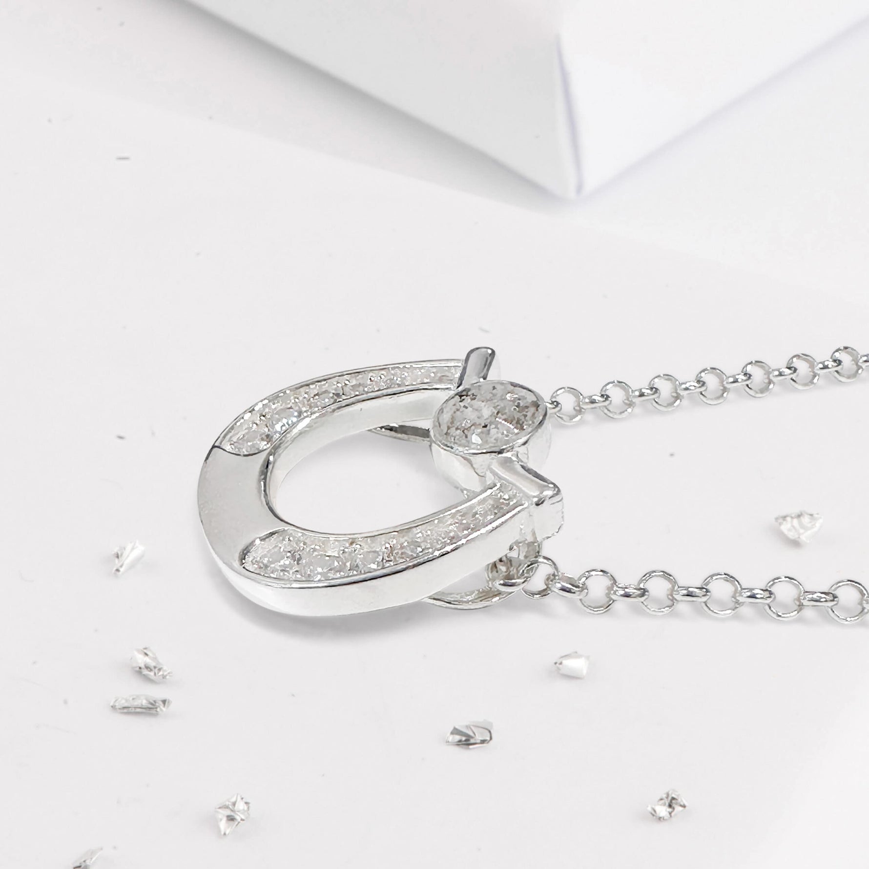 Crystal Ashes Horseshoe Inlaid Pendant