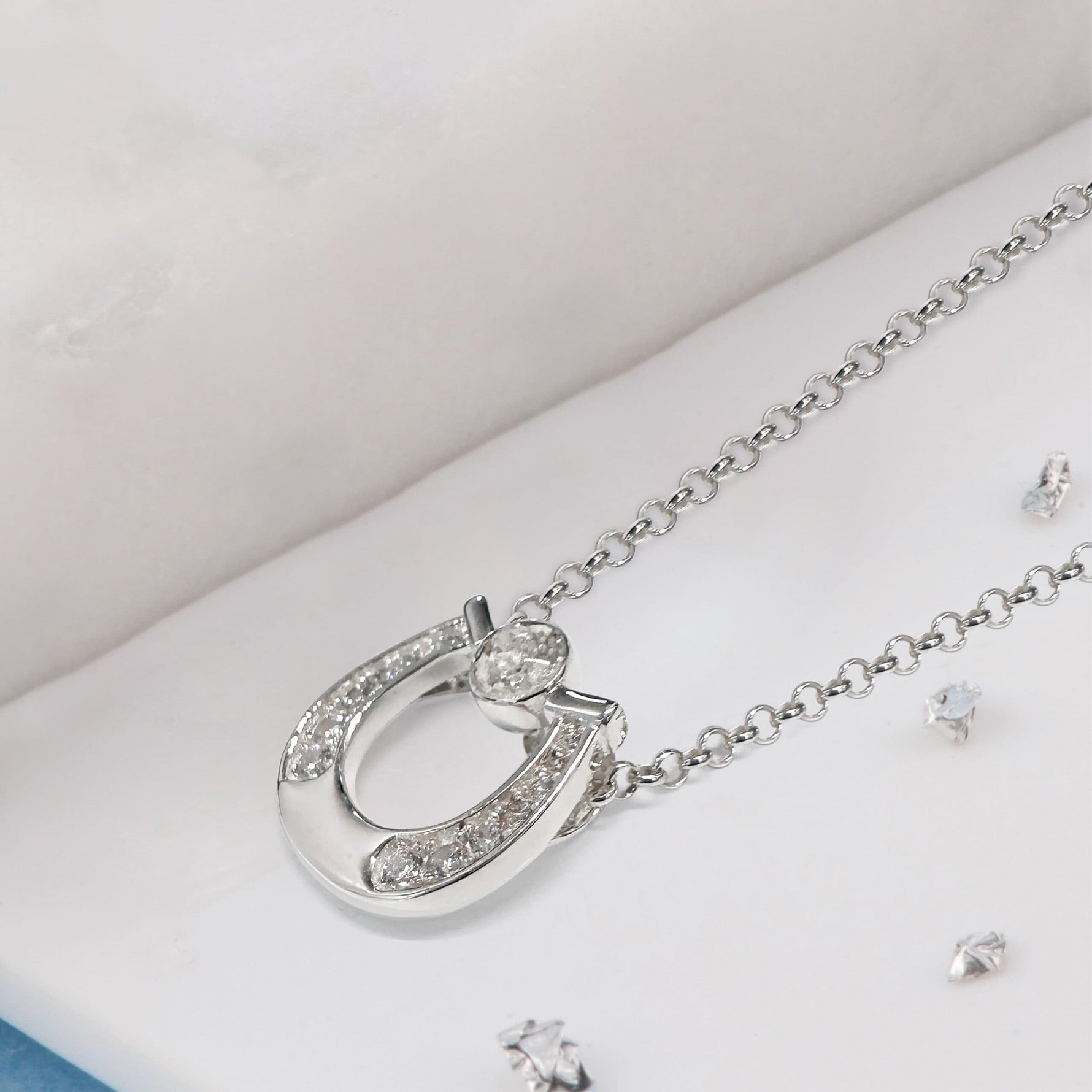 Crystal Ashes Horseshoe Inlaid Pendant