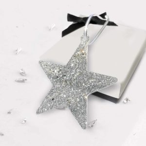 Interactive Photo & Video Memory Ashes Or Hair Star Tree Decoration
